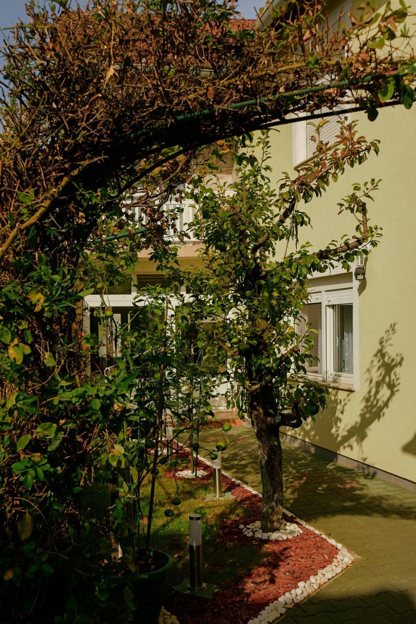 Soba Luic Apartamento Zupanja Exterior foto